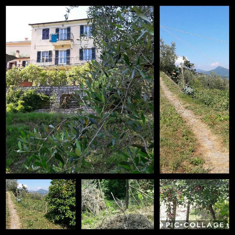 Hotel Rural House Rondini Camposasco Exterior foto